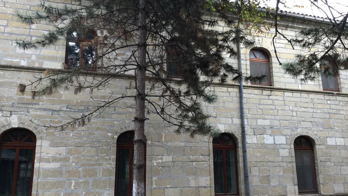 Clădire din piatră cu ferestre boltite din Medgidia, printre pini (imagine ilustrativă de arhivă, nu este creșa)