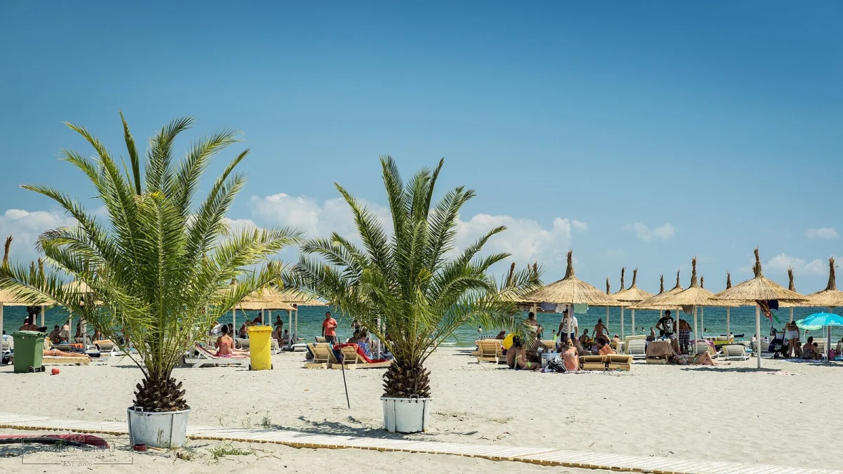 Plajă din Năvodari, cu palmieri și umbrele de stuf